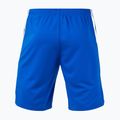 Shorts Herren Joma Terra royal/dark navy 2