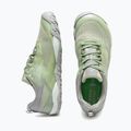 Herren-Laufschuhe Joma Sierra Barefoot green 4