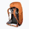 Osprey Ace 38 l orange Sonnenuntergang Kinder-Trekking-Rucksack 6