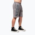 Trainingsshorts Herren NEBBIA Washed-Off NO BS light grey 4