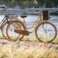 Kellys Royal Dutch 460 Stadtrad blau 72363 3