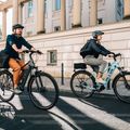 E-bike Kellys E-Carson 3 28" 725Wh grau 69641 21