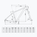 Kellys Spider 50 29" Mountainbike schwarz 68852 2
