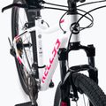 Mountainbike Damen Kellys Vanity 1 29" weiß 72274 7