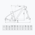 Kellys Spider X50 29" graphitgrau Mountainbike 2