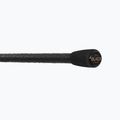 Delphin Opium BlacxFEEDER 3G TechnoCORK Feederrute + 3 Spitzen 5