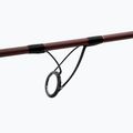 Delphin Etna Leged4ry Karpfenrute 5