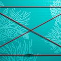 SUP Board Stand up Paddle Board ABSTRACT Coral 10'6'' topaz 3