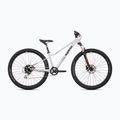 Jugendfahrrad Superior RACER 27 gloss grey