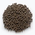 MIVARDI Rapid Boilies Starter Monster & Heilbutt Proteinkugeln 3,5 kg 4