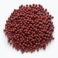 MIVARDI Rapid Boilies Starter Fruit Bomb 3,5 kg Eiweißkugeln 4