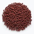 MIVARDI Rapid Boilies Starter Hot Spice 3,5 kg Eiweißkugeln 4