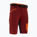 Fahrrad Shorts Herren SILVINI Rango Pro merlot/orange 4