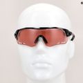 Tifosi Alliant 1 Kristall schwarz/enliven Fahrradbrille 6