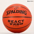 Basketball Spalding React TF-25 7681Z grösse 7 6