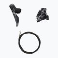 Shimano R8170 Ultegra Di2 175 Scheibenbremsgruppe 52x36T/11-34 6