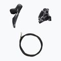Shimano R8170 Ultegra Di2 175 Scheibenbremsgruppe 52x36T/11-34 7