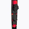 JOBE Allegre Combo Wasserskier rot 208822003 7