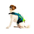 JOBE Pet Vest lime/teal Hundesicherheitsweste 3