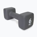 Neopren Kurzhantel 6kg Pure2Improve grau P2I201440