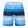Herren Protest Prthamsey Gladio blau swim shorts 2