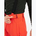 Herren Protest Prtrowens Snowboardhose burnt orange 5