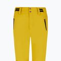 Snowboardhose Damen Protest Prtcinnamones oliveoil green 3