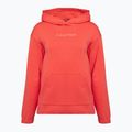 Herren Calvin Klein Hoodie 97A kühle Melone 5