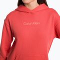 Herren Calvin Klein Hoodie 97A kühle Melone 4