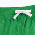 Damen Shorts Tommy Hilfiger Terry Shorts radiant green 4