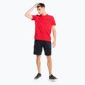 Tommy Hilfiger Herren Grafik Tee rot 2