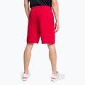 Tommy Hilfiger Herren Graphic Sweatshort rot 3