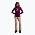 Damen-Longsleeve Protest PRTHolker Active current purple 2