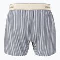 Boxershorts Calvin Klein LV00NM2945 Boxer Trad majorca stripe speakeasy 2