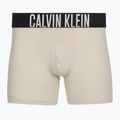 Boxershorts Calvin Klein 000NB3609A Boxer Brief 3 pairs oatmeal/aged redwood/bright turquoise 2