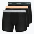 Boxershorts Calvin Klein LV00NB4394 Brief 3 pairs black with/darkest spruce wb/black w