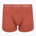 Herren-Boxershorts Calvin Klein 0000U2662G Trunk 3 pairs sodalite blue/redwood/white pepper 6