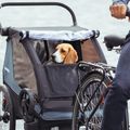 Thule Courier Zwei-Personen-Fahrradanhänger blau 10102001 11