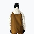 Snowboardjacke Herren 686 Geo birch wash colorblock 3