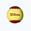 Wilson Starter Red Tballs Kinder-Tennisbälle 12 Stück gelb und rot WRT137100 3