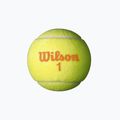 Wilson Starter Orange Tball Kinder-Tennisbälle 3 Stück gelb WRT137300 3