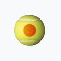Wilson Starter Orange Tball Kinder-Tennisbälle 3 Stück gelb WRT137300 4