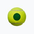 Kindertennisbälle Wilson Starter Play Grün 4 Stück gelb WRT137400 4