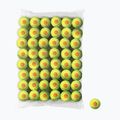 Wilson Starter Orange Tball Kinder-Tennisbälle 48 Stück gelb WRT13730B
