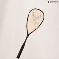 Squash-Schläger VICTOR IP RK 9