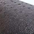 Faszienrolle adidas EPP Foam black 5