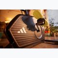 Heimtrainer adidas C-24C black 16