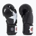 Boxhandschuhe Fairtex "Tight-Fit" Design-Nation Prints Collection black 4
