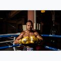 Boxhandschuhe Fairtex Universal "Tight-Fit" Design Falcon gold 2