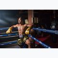 Boxhandschuhe Fairtex Universal "Tight-Fit" Design Falcon gold 3